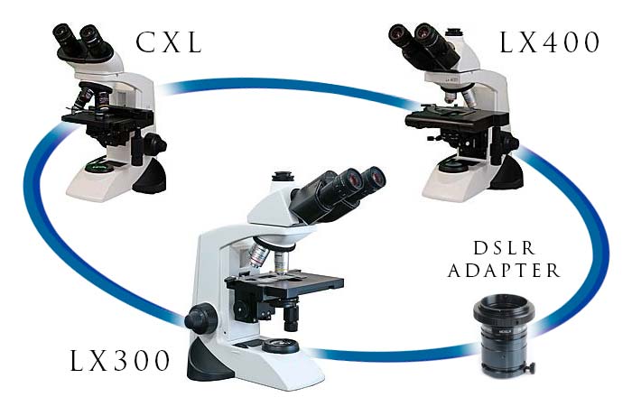 Labomed Student Microscopes