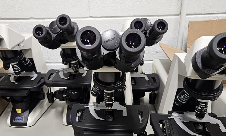 Eyepieces for a microscope