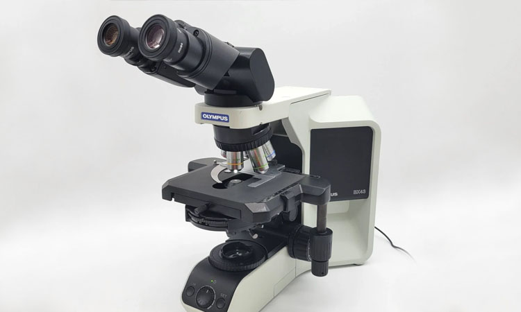 Olympus BX43 Microscope